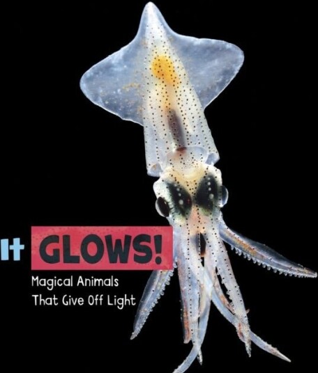 It Glows! It Glows!