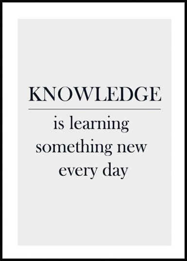 Knowledge Plakat Plakat / 40x50cm Knowledge Plakat Plakat / 40x50cm