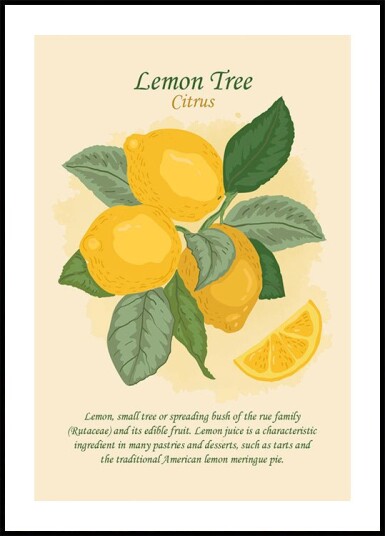 Lemon Tree Citrus Plakat Plakat / 21x30cm Lemon Tree Citrus Plakat Plakat / 21x30cm