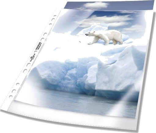 DURABLE Sheet Protector 50 Pc(S)