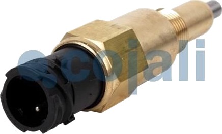 Sensor COJALI 2260382 Sensor COJALI 2260382