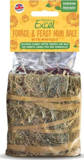 Burgess Forage & Feast Mini Bale Marigold 100g