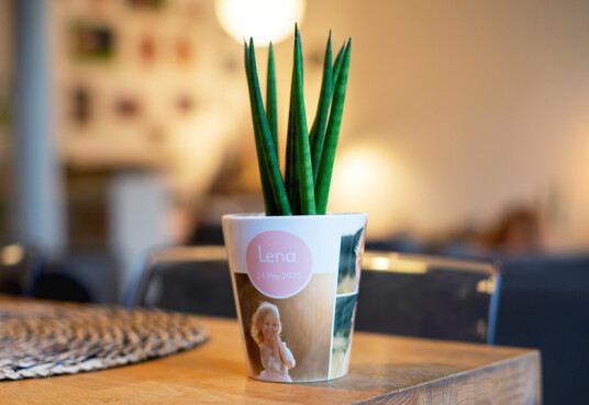 smartphoto Enkel Blomsterkrukke