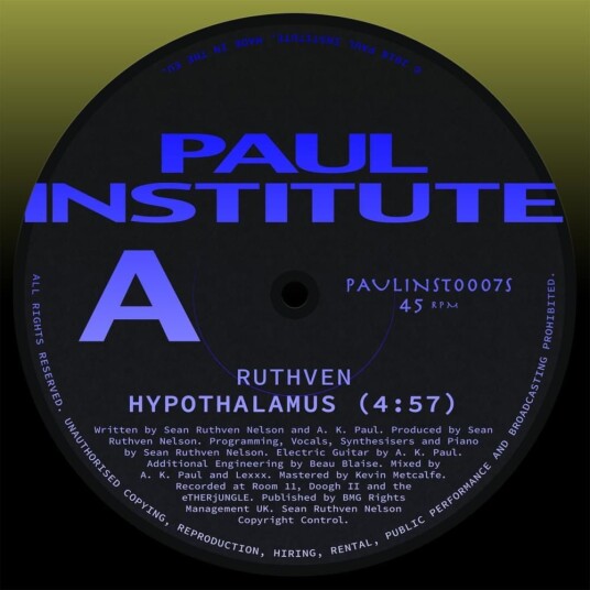 Ruthven Hypothalamus LP/Vinyl