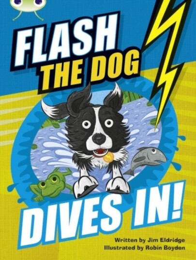 Bug Club Independent Fiction Year 3 Brown B Flash the Dog Dives In! Bug Club Independent Fiction Year 3 Brown B Flash the Dog Dives In!