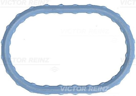 Tetning innsugningsmanifold REINZ 71 17498 00