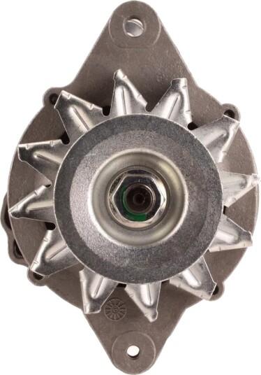 Dynamo WALKER WAL01577