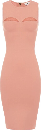 Elisabetta Franchi Dame Kjoler Rosa XS, Elisabetta Franchi Dame Kjoler Rosa XS,