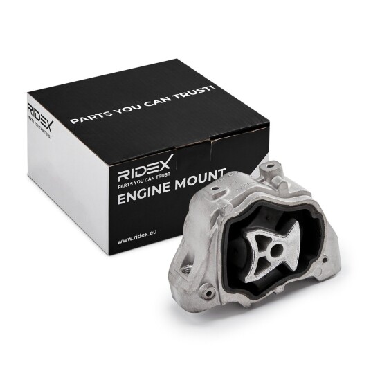 Motorfeste RIDEX 247E0625
