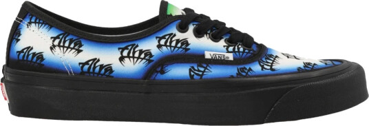 Vans Herre Sko Flerfarget 45 EU,