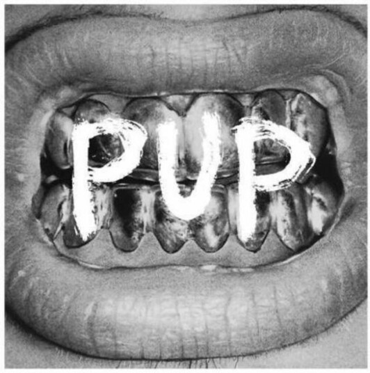 Pup Pup LP/Vinyl Pup Pup LP/Vinyl