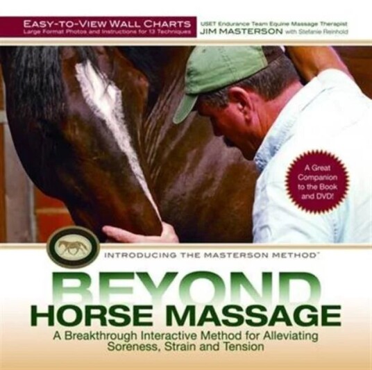 Beyond Horse Massage Wall Chart Av Jim Masterson Beyond Horse Massage Wall Chart Av Jim Masterson