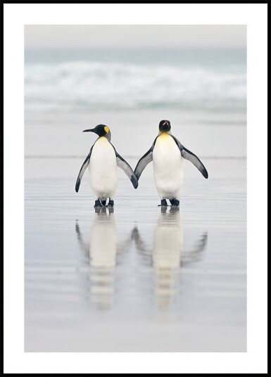 Friends Poster Plakat / 100x150cm