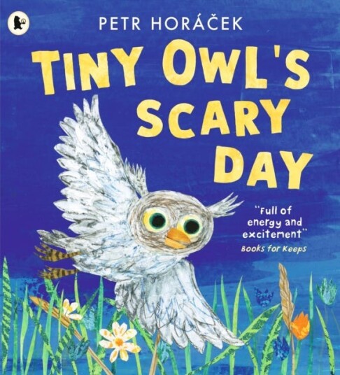 Tiny Owl's Scary Day Tiny Owl's Scary Day