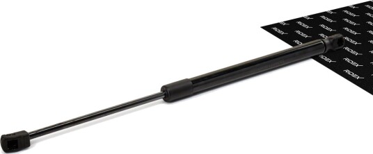 RIDEX 219G0220 Baklukedemper