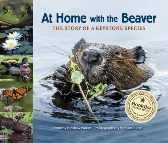 At Home with the Beaver A Story of a Keystone Species