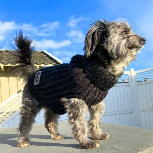 Hyttetur Strikkegenser Til Hund