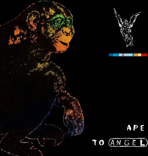 Ape To Angel