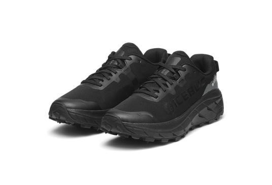 Icebug Arcus 2 Women's BUGrip GTX - TrueBlack