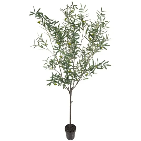 Mr Plant Oliventre 230 cm Mr Plant Oliventre 230 cm
