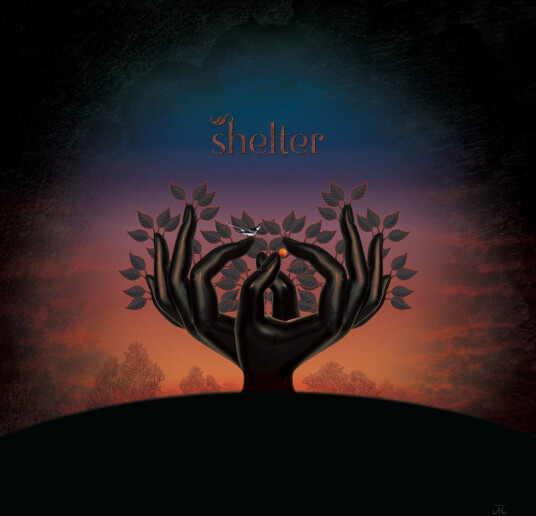 Shelter Shelter