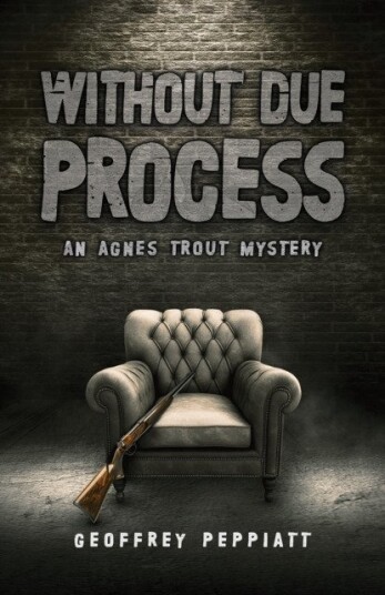 Without Due Process  An Agnes Trout Mystery