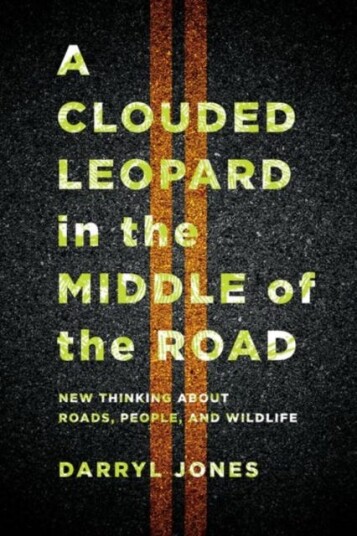 A Clouded Leopard In The Middle Of The Road Av Darryl Jones
