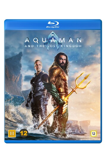Aquaman 2: Aquaman And The Lost Kingdom