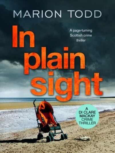 In Plain Sight Av Marion Todd