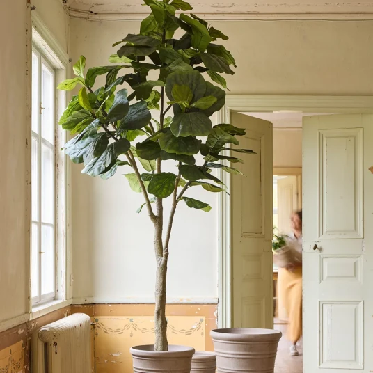 Mr Plant Fiolfikus gryte 240 cm Mr Plant Fiolfikus gryte 240 cm
