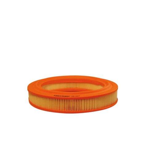 Luftfilter FILTRON AR 323 Luftfilter FILTRON AR 323