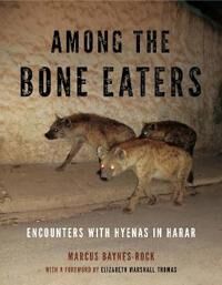 Baynes-Rock Marcus Among the Bone Eaters