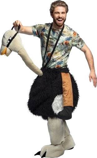 Boland Struts Ride On Kostyme Boland Struts Ride On Kostyme
