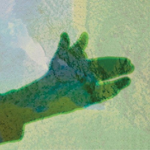 Native Instrument Camo LP/Vinyl