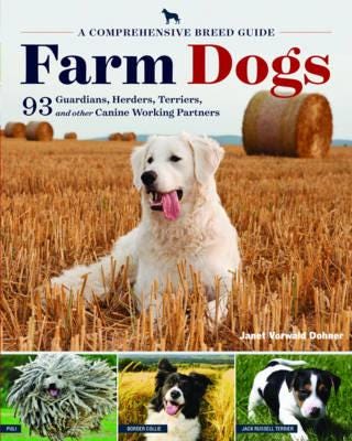 Farm Dogs  A Comprehensive Breed Guide to 93 Guardians, Herders, Terriers, and Other Canine Working