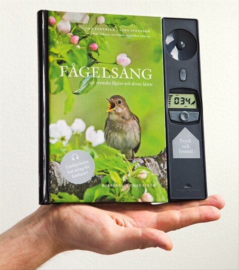 Fågelsång