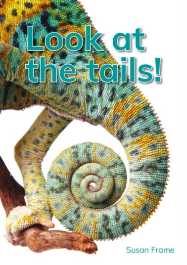 Look at the tails! Look at the tails!