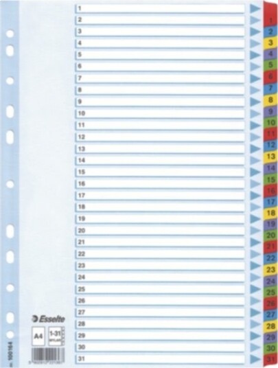 Register Esselte Mylar A4 1-31 flerfarget