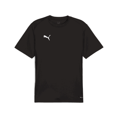 Puma teamGOAL Jersey fotballtrøye herre Svart M