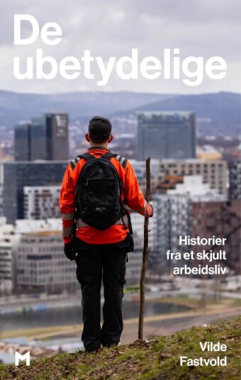 De Ubetydelige Av Vilde Fastvold De Ubetydelige Av Vilde Fastvold