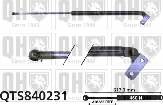 QUINTON HAZELL QTS840231 Baklukedemper