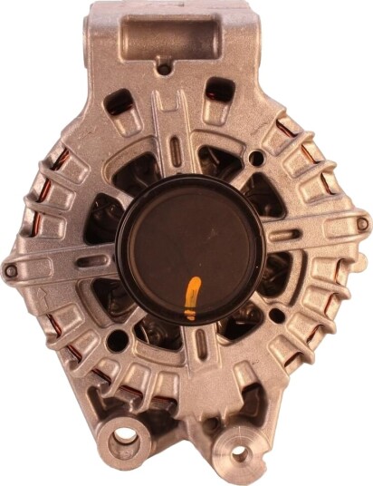 Dynamo WALKER WAL01760