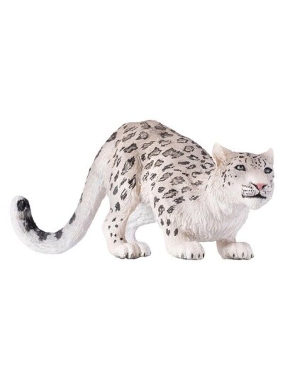 Mojo   Wildlife Snow Leopard