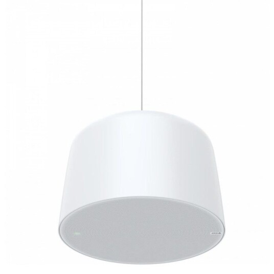 Axis C1510 Pendant Nettverkshøyttaler
