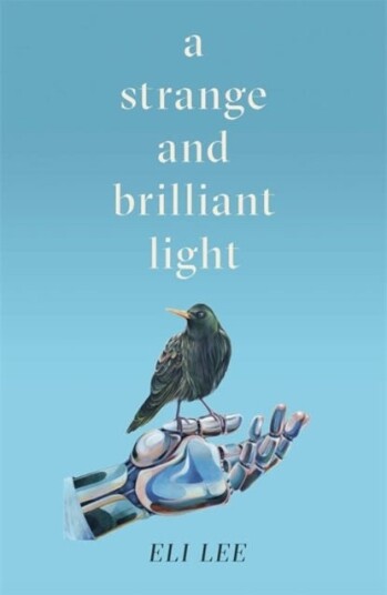 A Strange And Brilliant Light: Winner Of The Writers' Guild Best First Novel Award Av Eli Lee