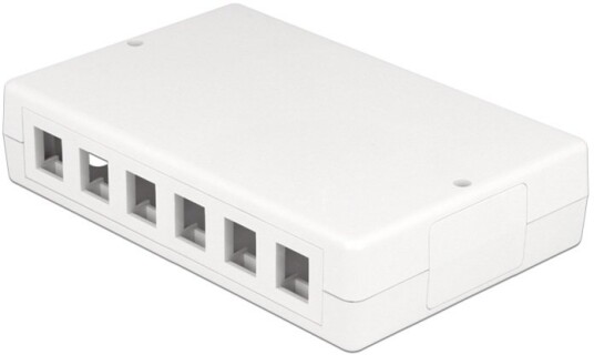 Delock 12-Port Overflatemonteringsboks for Nettverk Hvit