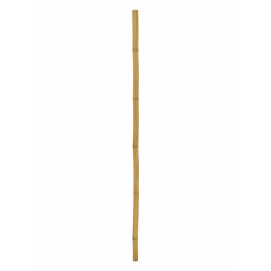 Europalms Bamboo Tube, Ø=5cm, 200cm Europalms Bamboo Tube, Ø=5cm, 200cm