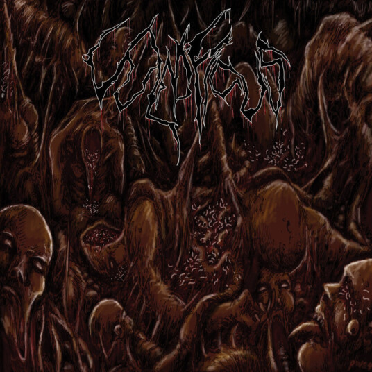 Vulnificus Inclination CD