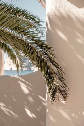 Venture Home Poster Palmleaf 1703408-01-136