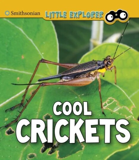 Cool Crickets Av Megan Cooley Peterson